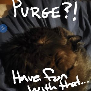 Got a new remote job. Jeans/Sweats every day!